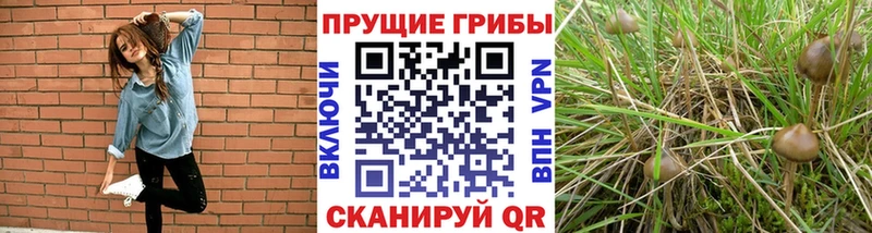Псилоцибиновые грибы прущие грибы  Красновишерск 